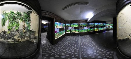 аквариум в алуште для отдыхающих в крыму